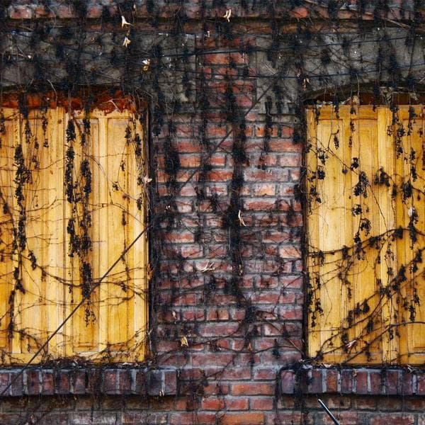 My Christmas Spirit Ran Out